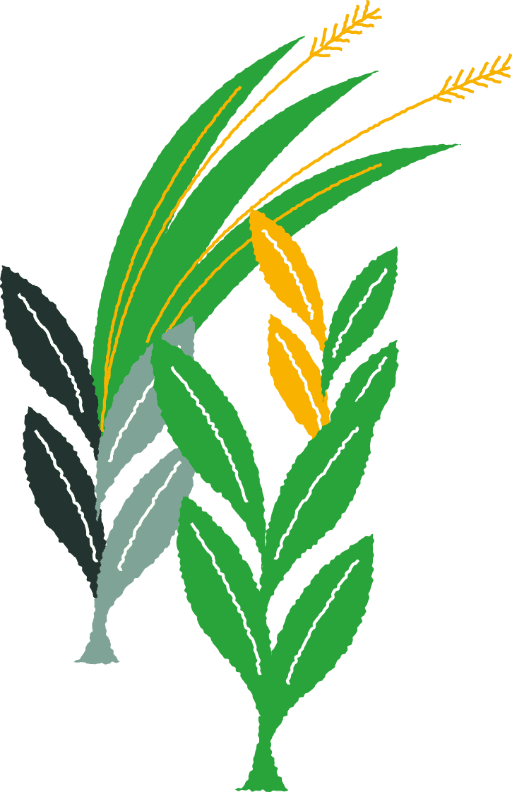 section3_4_grass3
